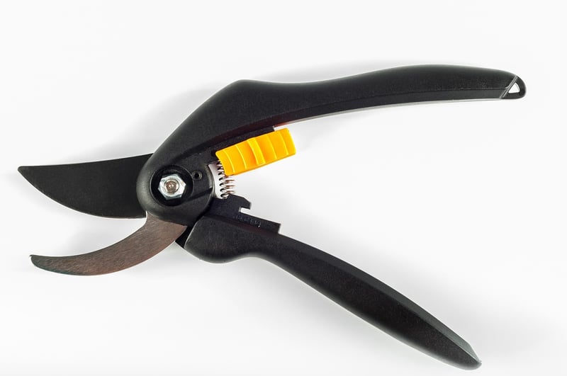 Spellbound Pruners